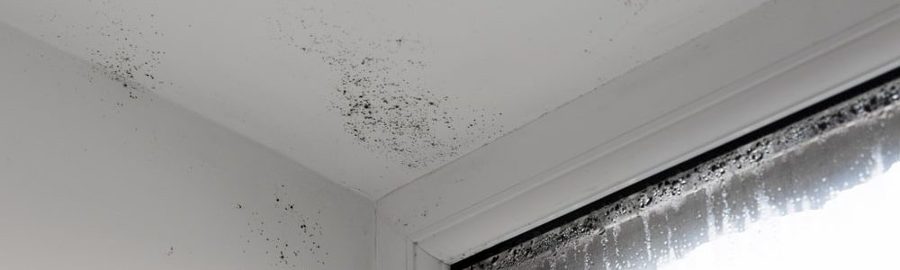 Humedades por condensación