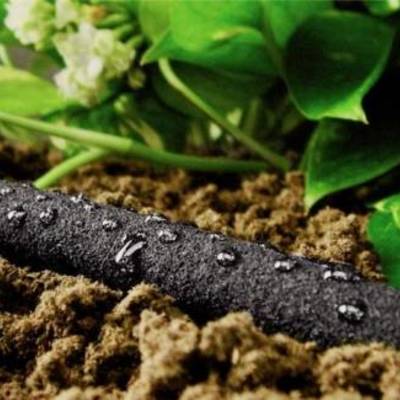 Sistemas de riego por exudación