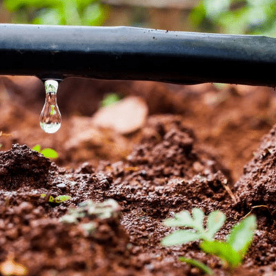 Sistemas de riego por goteo