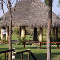 palapa