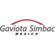 gaviota%20simbacMEXICO_5111