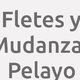 Logo Fletes y Mudanzas Pelayo_15472