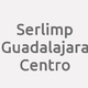 Logo Serlimp Guadalajara Centro_20010
