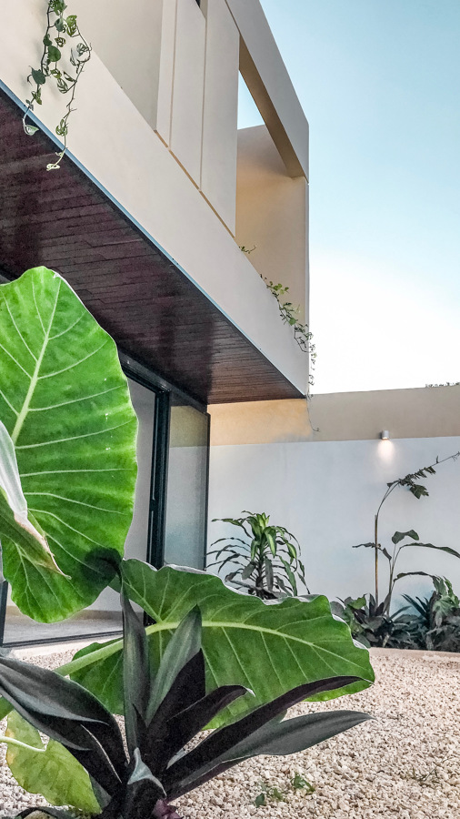 Patio trasero casa Zen