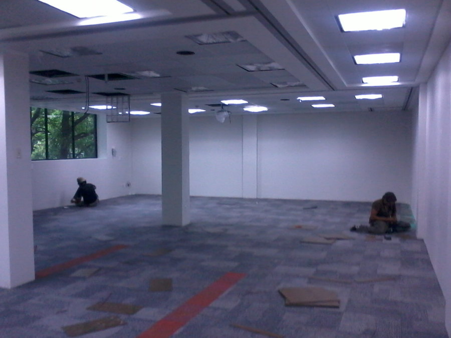 Remodelación de Area Neuralín en Proceso 3