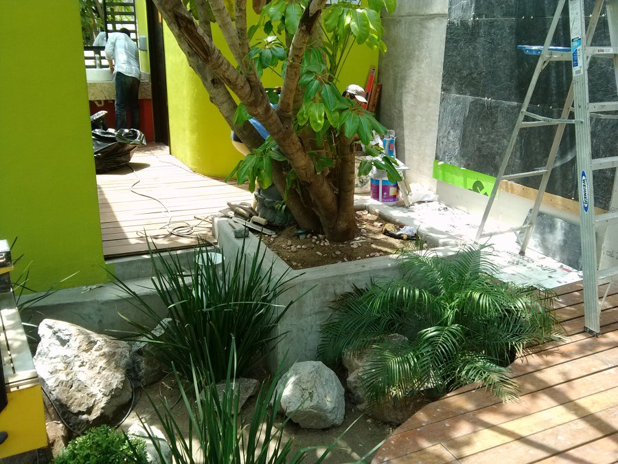 JARDÍN INTERIOR