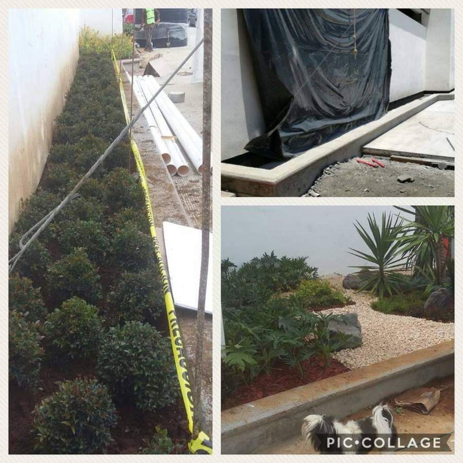 Diseño muro chillón y jardinería