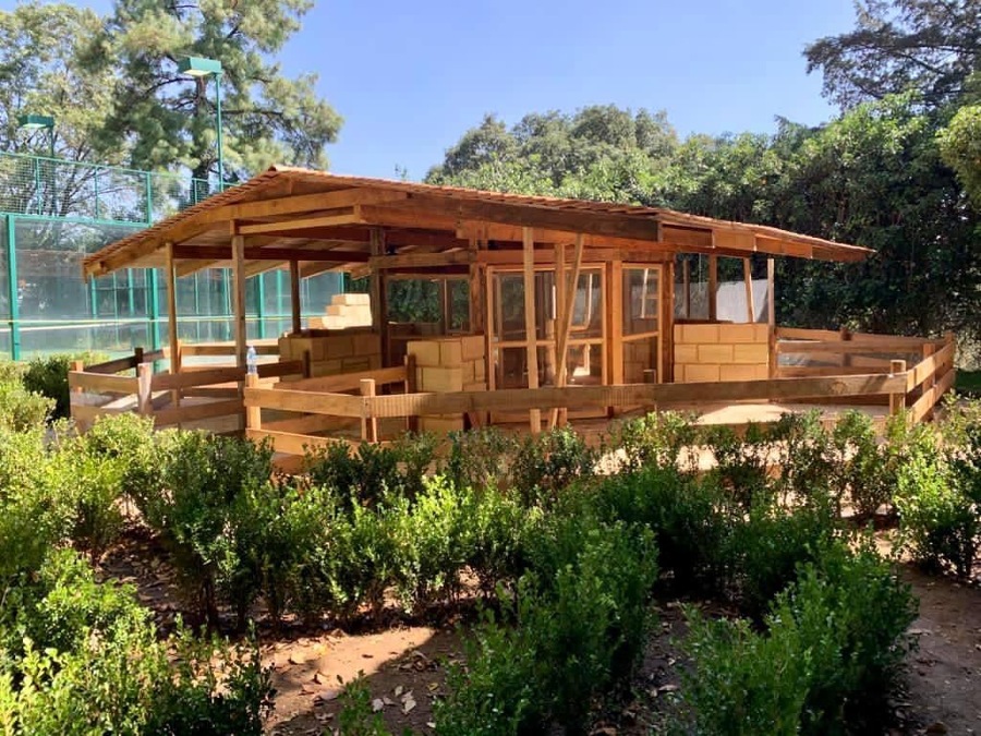 Granja de animales pequeños