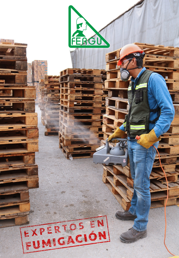 Fumigación De Tarimas