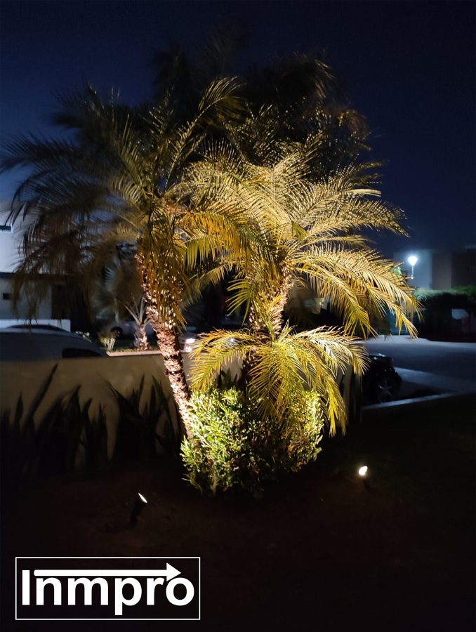 Iluminación de jardinería