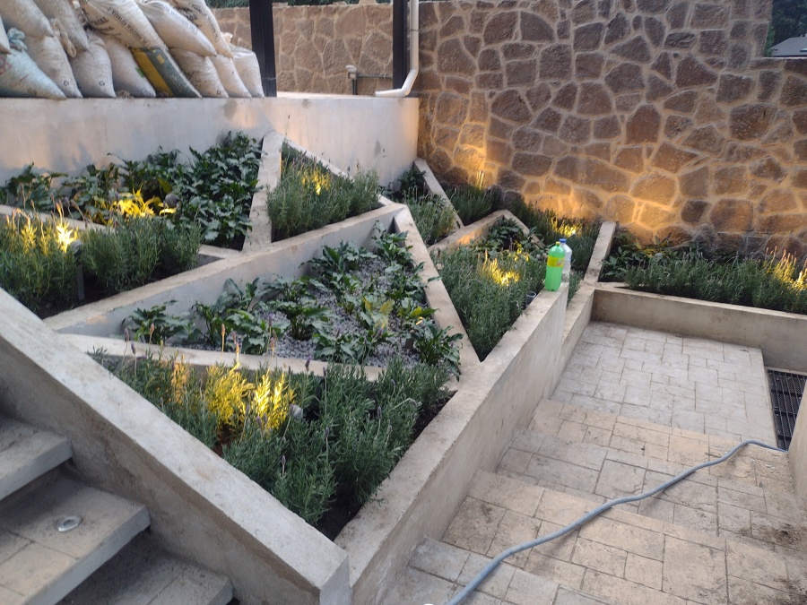 grava de marmol y plantas