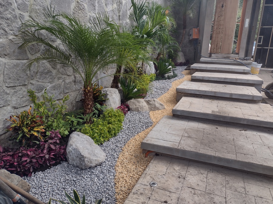 gravas de marmol con plantas distintas