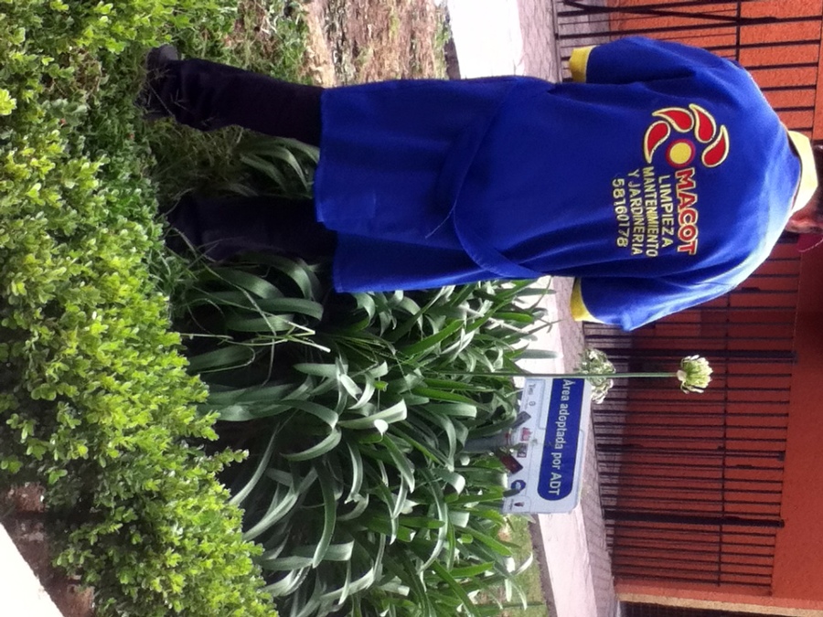 JARDINERIA Y LIMPIEZA