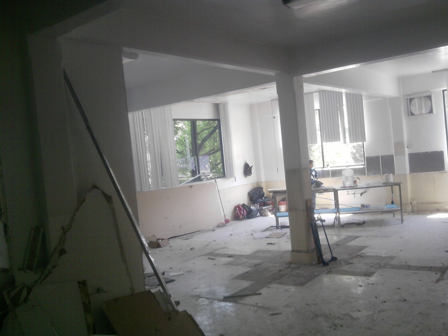 Remodelación de Area Neuralín en Proceso 2