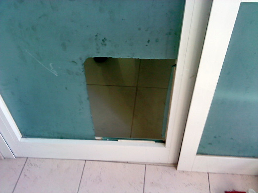 saque para puerta de mascotas ...