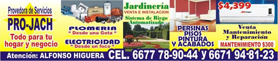servicios