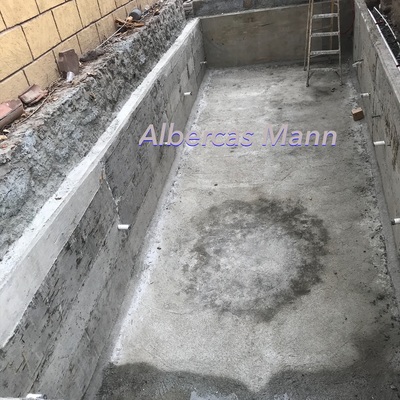 Desimbrado de alberca