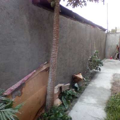 Oficial de Albañilería