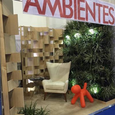 Revista Ambientes