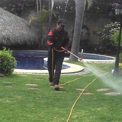 Control de plagas en jardines