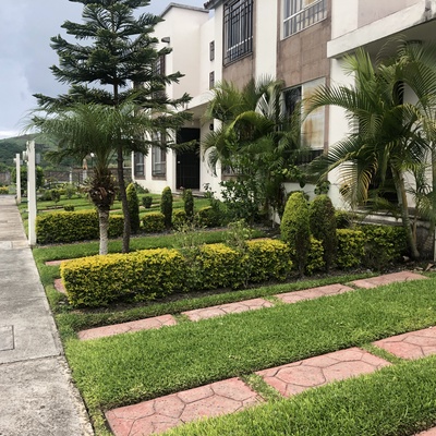 Mantenimiento Fraccionamientos y Conjuntos habitacionales