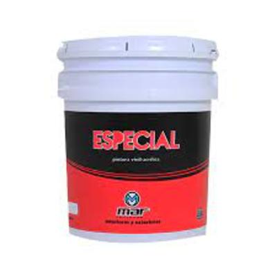 Pintura Vinílica ESPECIAL