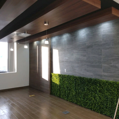 san miguel de allende