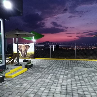 Elephant Car Wash Altozano