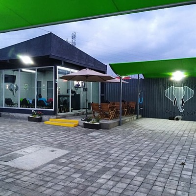 Elephant Car Wash Altozano