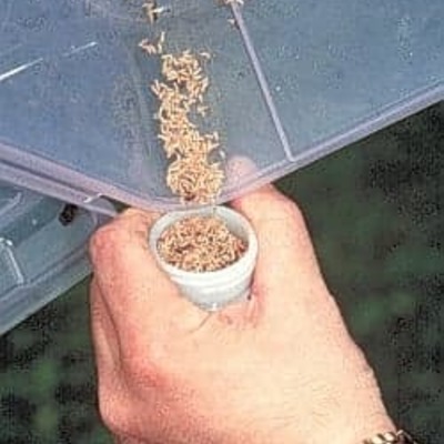 Fumigación de plagas