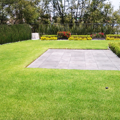 Roof Garden Tecamachalco