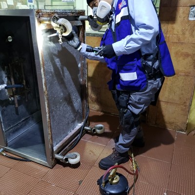 Eliminación de Cucaracha alemana