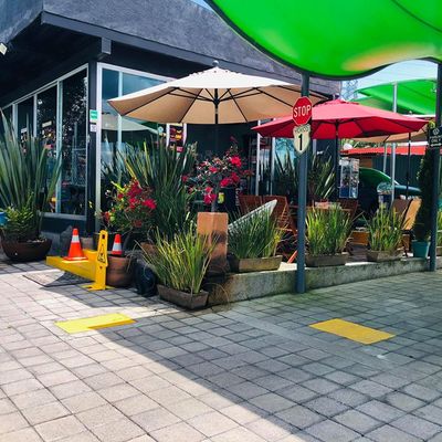 Elephant Car Wash Altozano