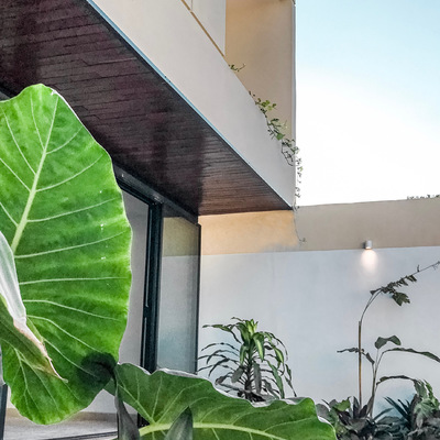 Patio trasero casa Zen