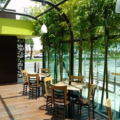 ACCESO SECUNSARIO A TERRAZA