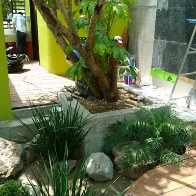 JARDÍN INTERIOR