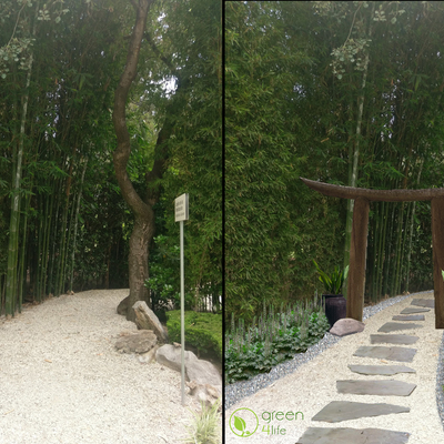 propuesta de diseño para mejora de jardín