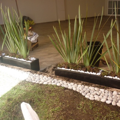 DANDOLE VISTA A UNA AREA MUERTA DE LA CASA