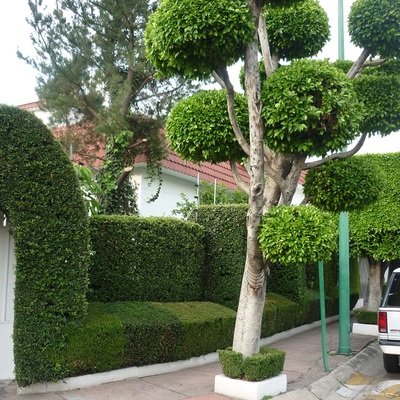 UN CLIENTE MAS EN JARDINES DEL PEDREGAL