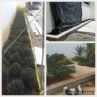 Diseño muro chillón y jardinería