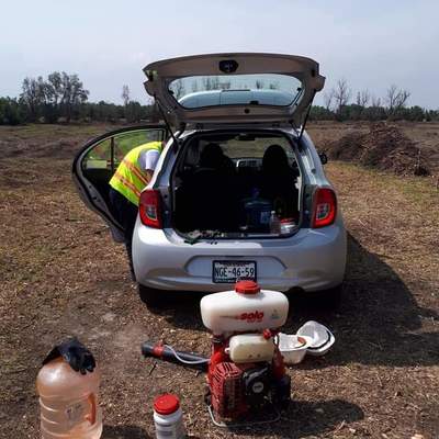 Control de arácnidos en campo abierto