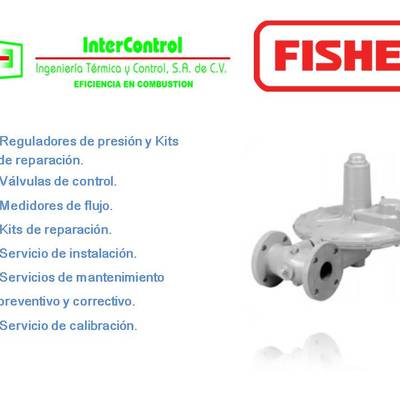 Fisher Controls y Sensus Invensys