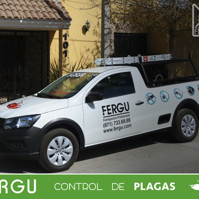 Identidad FERGU