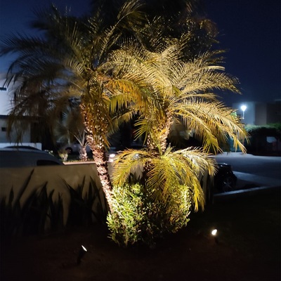 Iluminación de jardinería