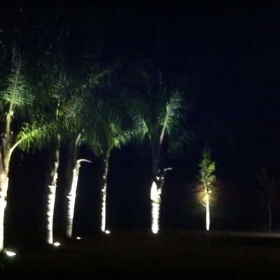 Iluminación jardín