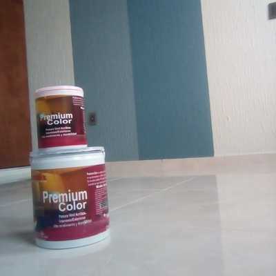 SUMINISTRO Y APLICACION DE PINTURA PINUMEX