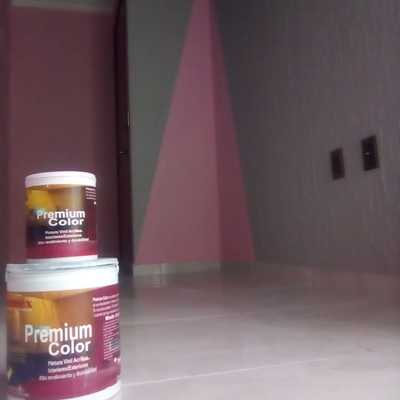 SUMINISTRO Y APLICACION DE PINTURA PINUMEX