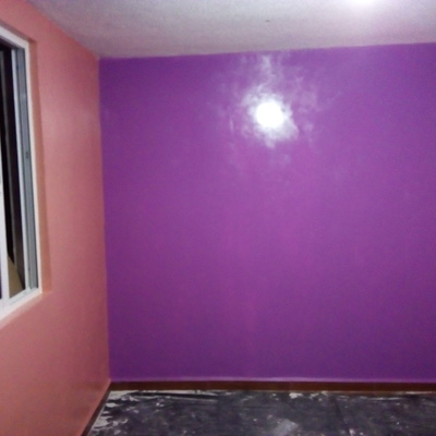 Acabados en pasta y pintura