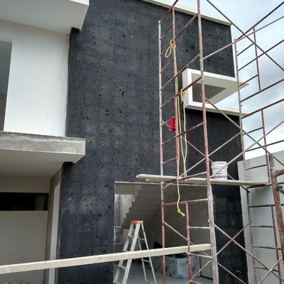 Colocasion de Cantera Natura negro america