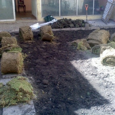 Instalacion de pasto